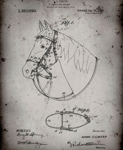 PP338-Faded Grey Bridle and Halter Patent Poster