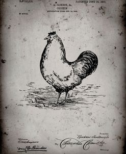 PP497-Faded Grey Chicken Patent Poster