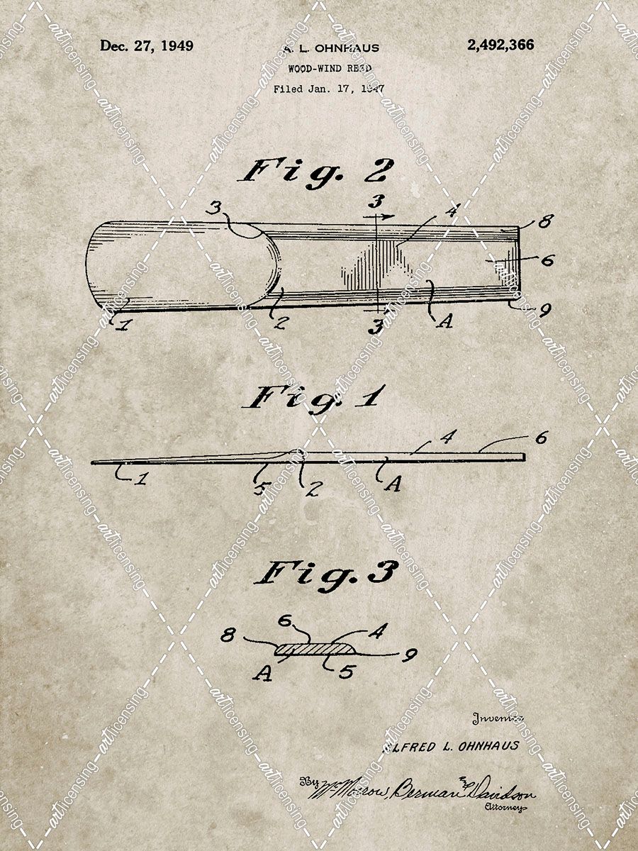 PP1010-Sandstone Reed Patent Poster