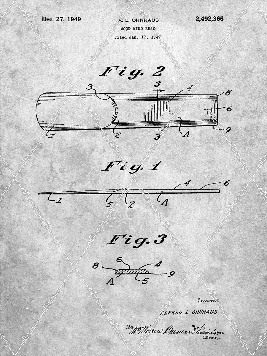 PP1010-Slate Reed Patent Poster