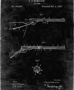 PP777-Black Grunge Daisy Air Rifle Patent Art