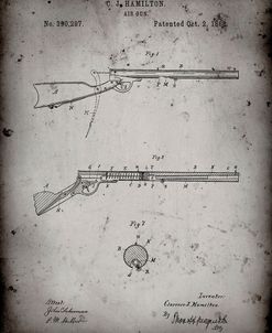 PP777-Faded Grey Daisy Air Rifle Patent Art