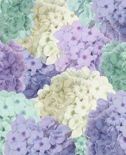 Hortensia Groundless Cool Tones