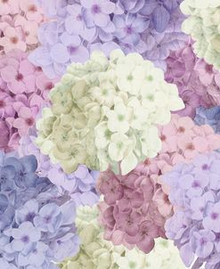 Hortensia Groundless Warm Tones