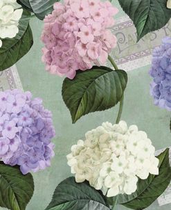 Hortensia Soft Green