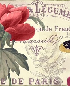Petals of Paris V