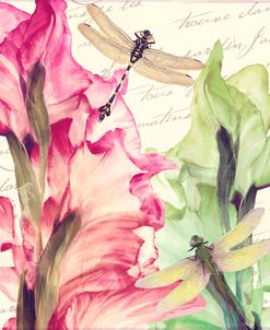 Dragonfly Morning II
