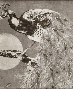 Moon Peacock