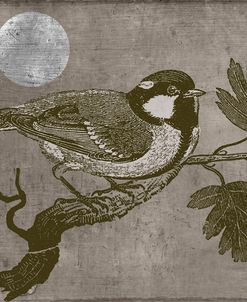 Moon Bird