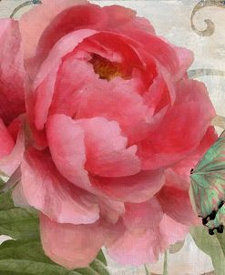 Apricot Peonies II