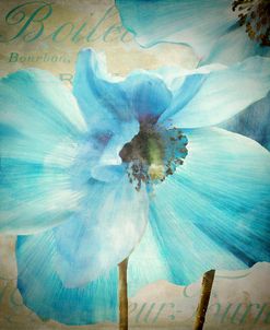 Himalayan Blue II