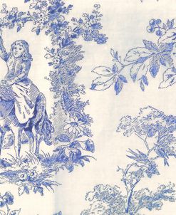 Toile Fabrics VI