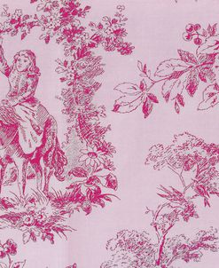 Toile Fabrics IV