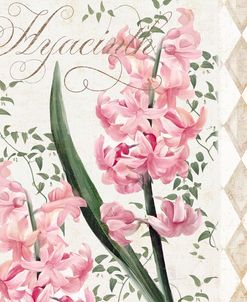 Hyacinth