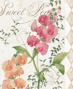 Sweet Pea