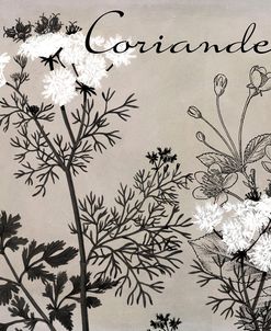 Flowering Herbs IV