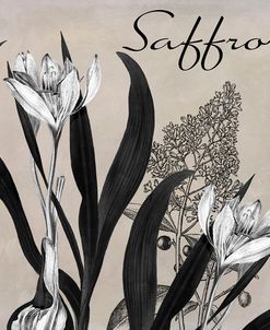 Flowering Herbs I