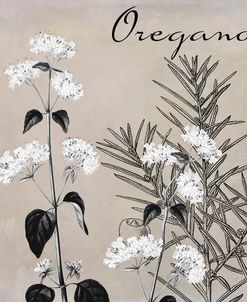 Flowering Herbs II