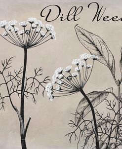 Flowering Herbs III