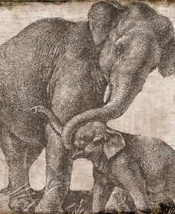 elephant 2