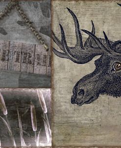 Moose