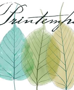 Seasons I