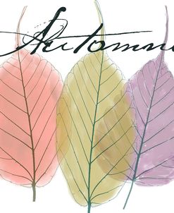 Seasons II