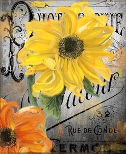 Sunflower Studio