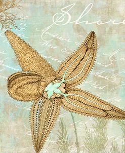 Turquoise Beach V