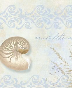 She Sells Seashells I