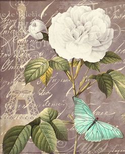 White Rose
