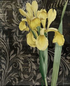 Ode to Yellow Flowers