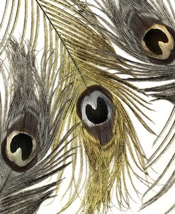Feather Fashion I