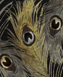 Feather Fashion II