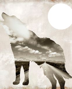 Going Wild IV