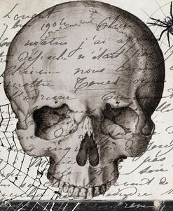 Halloween Skull