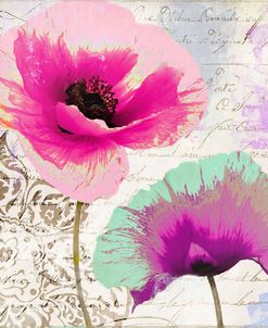 Poppies And Paint Ii