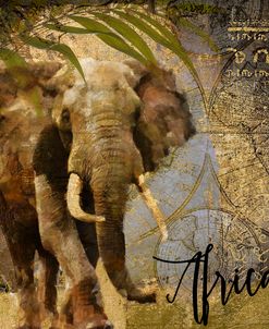 Taste Of Africa III