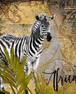 Taste Of Africa IV