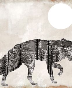 Going Wild VII