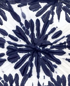 Indigo IV