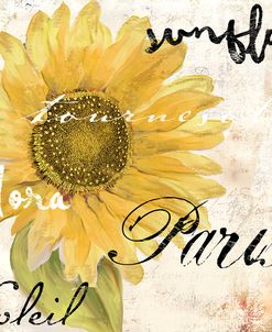 Paris Songs I