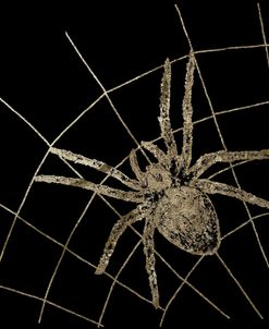 Golden Spider