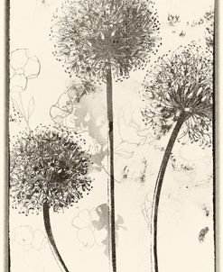 Breezes
