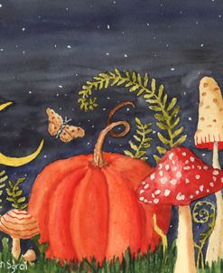 Autumn Mushrooms