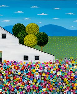 Wildflower Farm