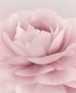 Stylisch Rose Pink