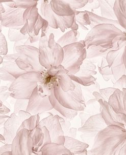 Translucent Cherry Blossom