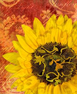Sunflower – Love of Light