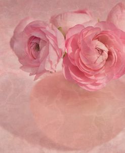 Pink Ranunculus Bouquet